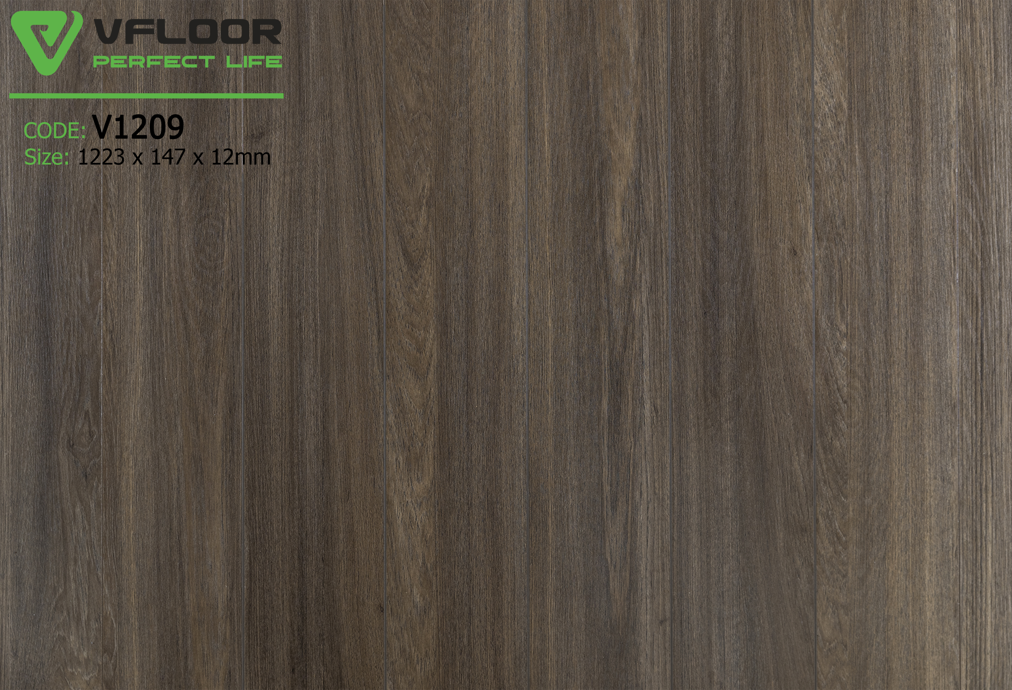 Sàn gỗ Vfloor V1209 - NỘI THẤT SÀN GỖ